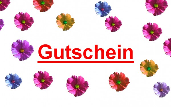 Gutschein - Wert 20,00 €