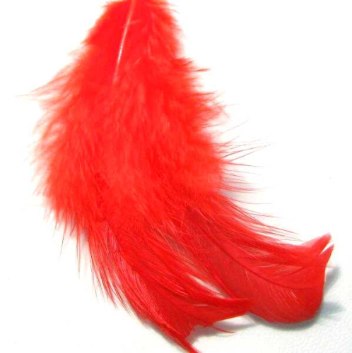 6 Red Feathers