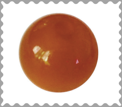 Polarisbead glossy rust brown 10 mm – Large hole