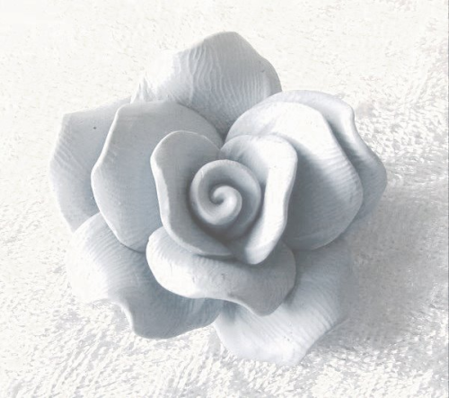 Rose 40 mm – white